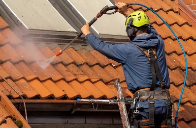 Démoussage et hydrofuge de toiture à Louye